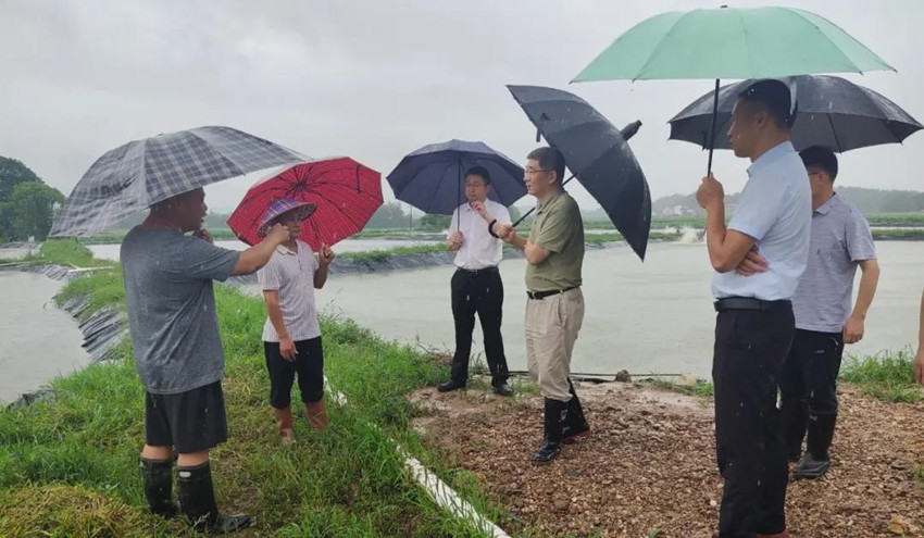 微信图片_20200611162915.jpg 微信图片_20200611162915.jpg