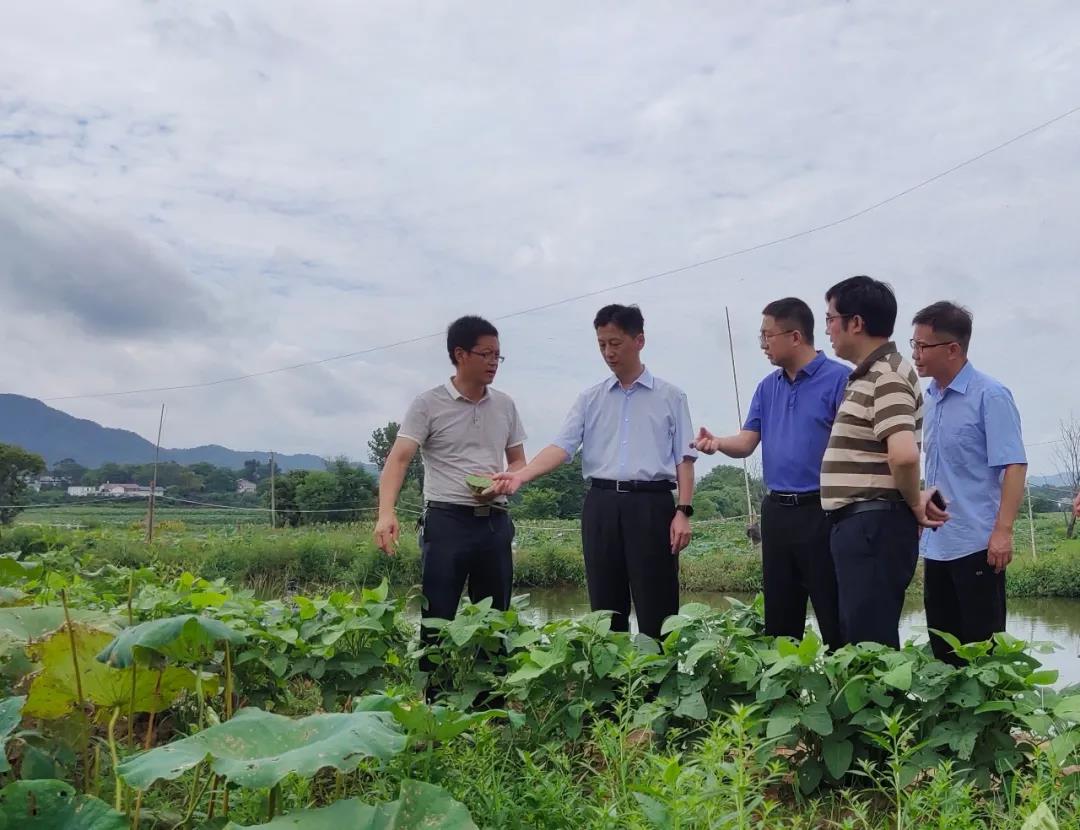 1_20200810101100.jpg 1_20200810101100.jpg